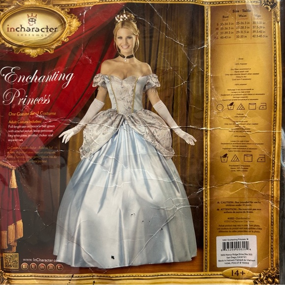 InCharacter costume womens enchanting princess dress sz Medium incomplete Read - Picture 1 of 16